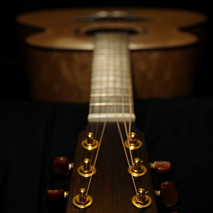 成人在线视频黑人留宿
