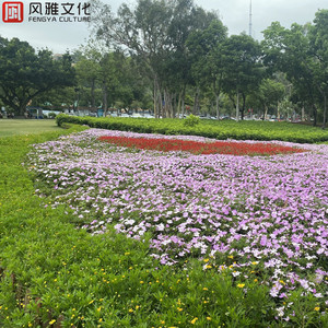 成人在线视频黑人留宿
